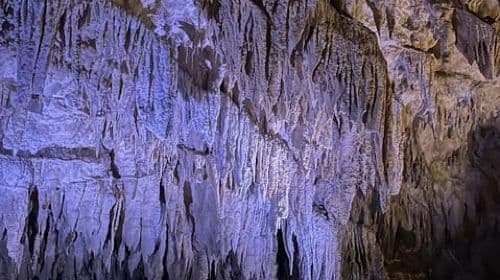 Okinawa South One Day Tour with Okinawa World ticket Day Tours