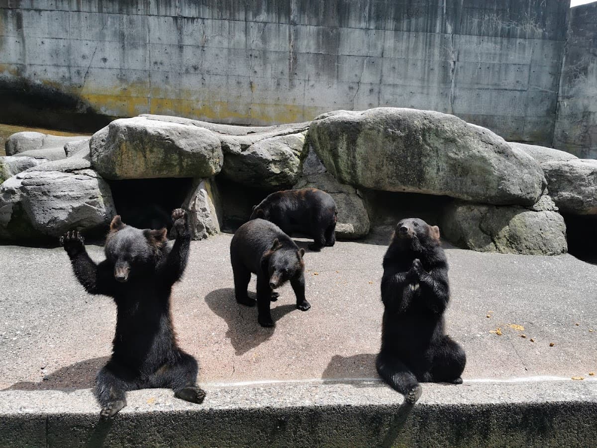 Okuhida Bear Ranch