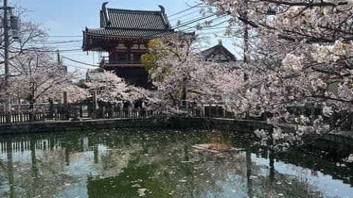 Osaka: Besuchen Sie die wichtigsten Sehenswürdigkeiten. Tagestouren
