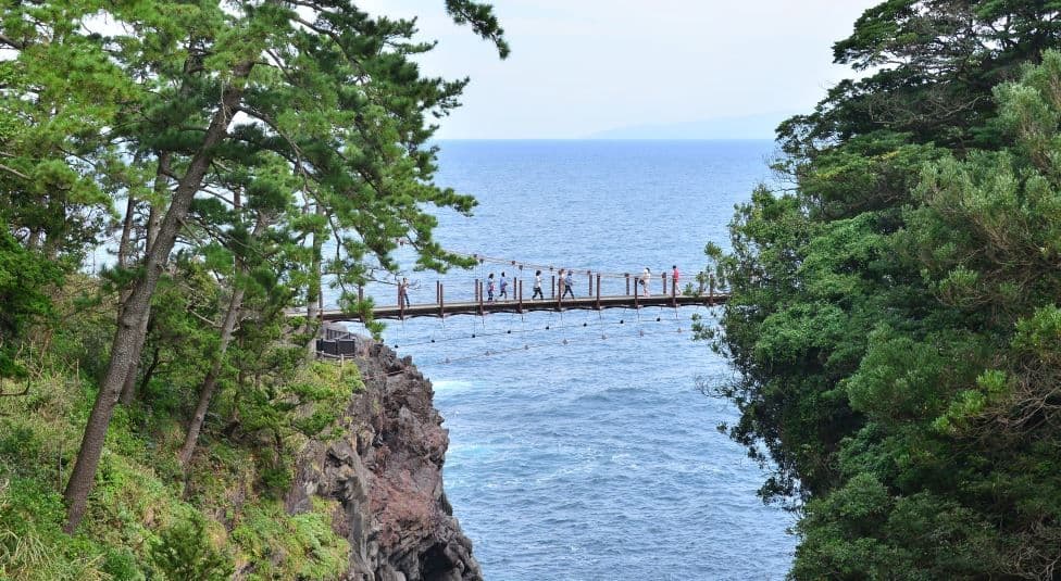 Jednodniowa wycieczka po Izu: Atami Sunshine Coast Road, Jogasaki Coast i Mt. Omuroyama | Tokio