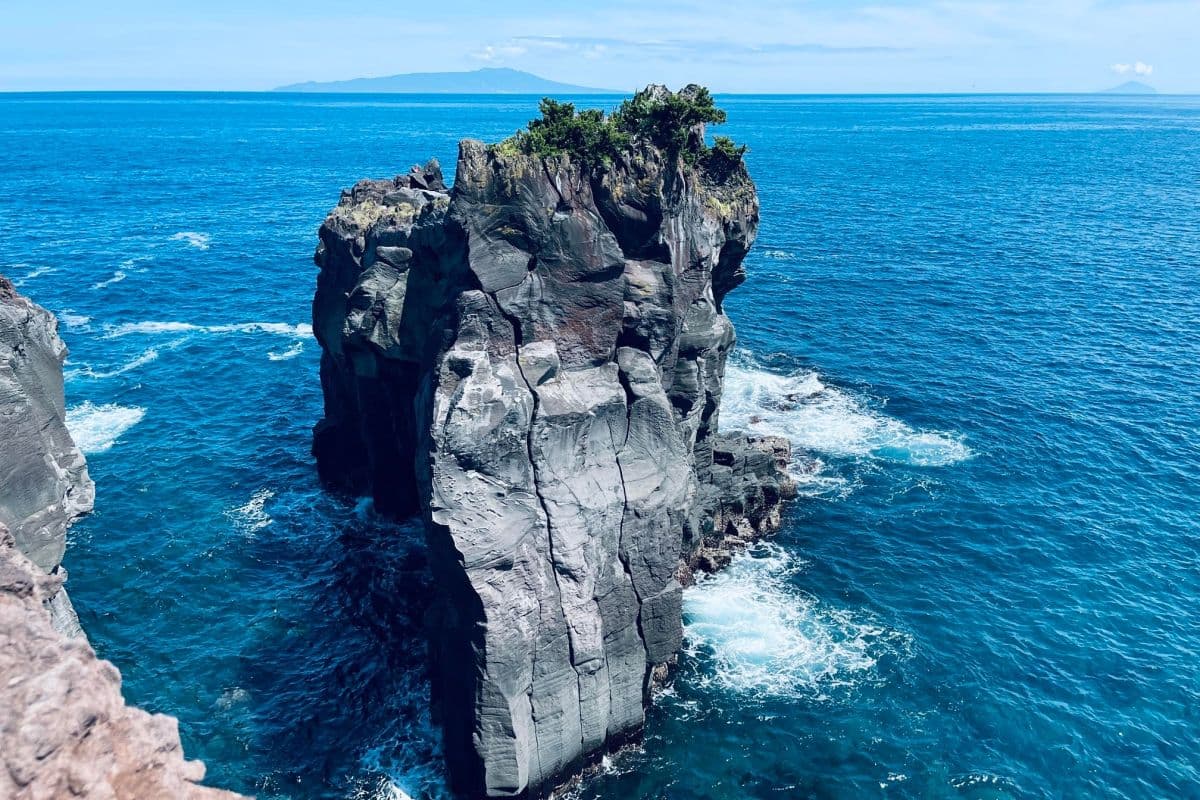 Excursion d'une journée à Izu : Atami Sunshine Coast Road, Jogasaki Coast et visite du mont Omuroyama | Tokyo