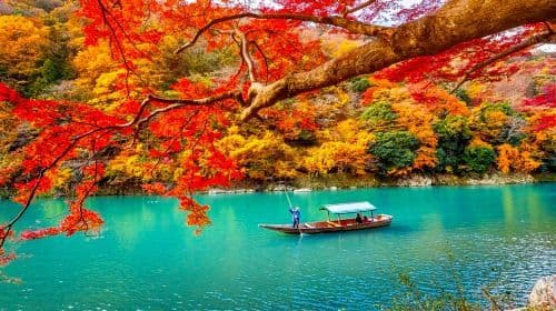 Eendaagse tour door Arashiyama en Katsuo-ji Temple in Kyoto, Japan [Chinees/Mandarijnse gids]|Internet celebrity beauty check-in] Dagtochten