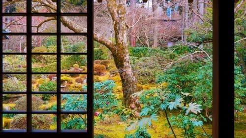 Eintägige Tour durch Arashiyama, den Sanzen-in-Tempel und die Bambuswald-Pfade in Kyoto, Japan Tagestouren
