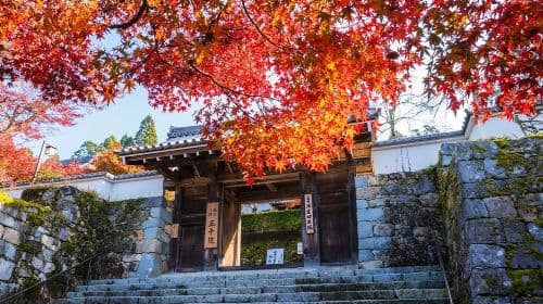 Eintägige Tour durch Arashiyama, den Sanzen-in-Tempel und die Bambuswald-Pfade in Kyoto, Japan Tagestouren