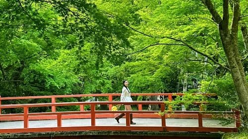eendaagse tour van Arashiyama, Sanzen-in Temple en Bamboo Forest Trails in Kyoto, Japan Day Tours