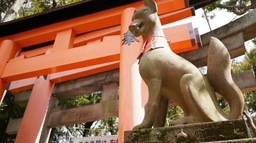 Osaka: Arashiyama, FushimiInari, passeio noturno em Gion, Kyoto com jantar