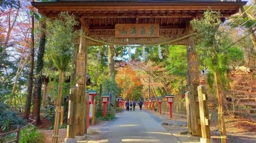 Tokyo: Mount Takao Guided Hiking Tour Day Tours