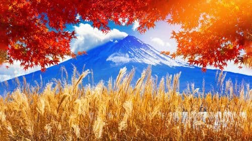 One-day tour of Mount Fuji's popular Instagram attractions, including Tianti Town, Kawaguchiko, Oshino Hakkai, and Lawson