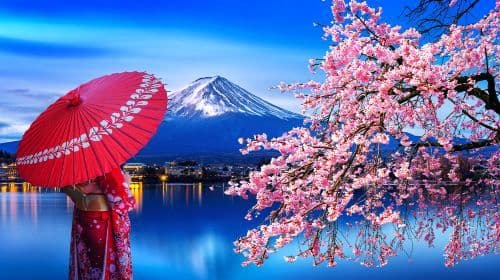 Eendaagse tour langs de populaire Instagram-attracties van Mount Fuji, inclusief Tianti Town, Kawaguchiko, Oshino Hakkai en Lawson
