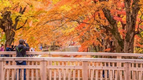 Eendaagse tour langs de populaire Instagram-attracties van Mount Fuji, inclusief Tianti Town, Kawaguchiko, Oshino Hakkai en Lawson