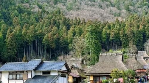 Eintägige Tour zum Gassho Village, Katsuoji Temple, Arashiyama Bamboo Forest Trail und Nonomiya Shrine in Miyama Town, Kyoto, Japan Tagestouren
