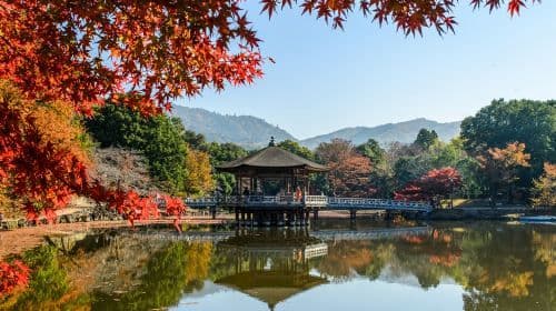 one-day tour to Kiyomizu-dera Temple, Nisannen-zaka, Fushimi Inari Taisha, Todaiji Temple, Nara Park, Kyoto, Japan Day Tours