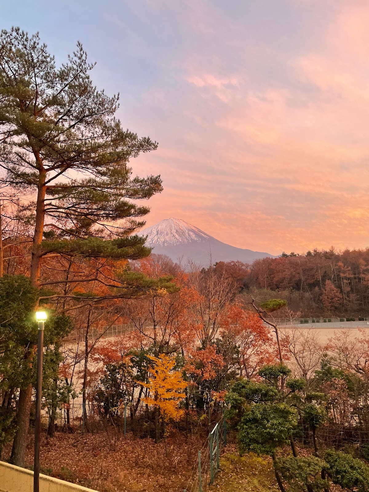 Onsen - Fuji Yurari Hot Spring