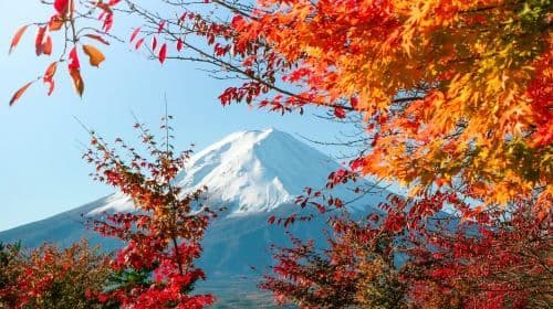 Tokyo : Excursion à la 5e station du Mt. Fuji et au festival d'automne avec déjeuner
