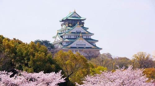 Pass de transport pour le château d'Osaka