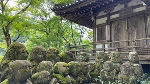 Otagi Nenbutsu-ji & Arashiyama Bamboo Forest Wandeltocht Dagtochten
