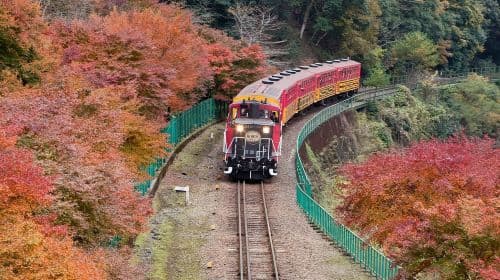 D'Osaka à Kyoto : Excursion en petit groupe dans la bambouseraie d'Arashiyama
