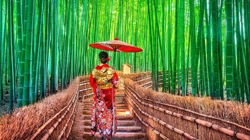 D'Osaka à Kyoto : Excursion en petit groupe dans la bambouseraie d'Arashiyama