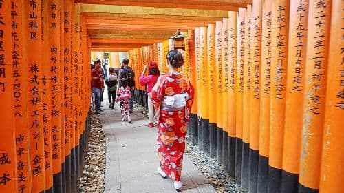 Osaka, Kyoto, and Nara, Japan: 1-day tour to Kiyomizu-dera Temple, Nara Park, Gion, and Fushimi Inari Taisha Day Tours
