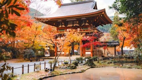 Osaka-Nara: Tours de descubrimiento de 2 días con pase