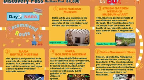 Osaka-Nara: Tours de descubrimiento de 2 días con pase