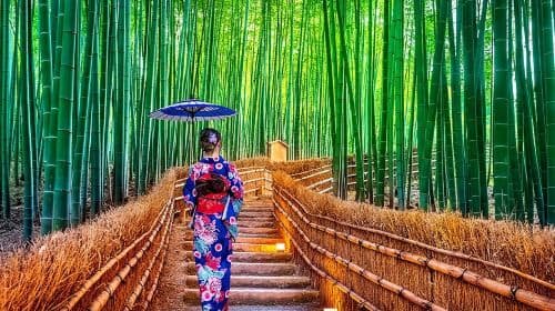 Private Tour Kyoto-Nara w/Hotel Pick Up & Drop off from Kyoto Day Tours