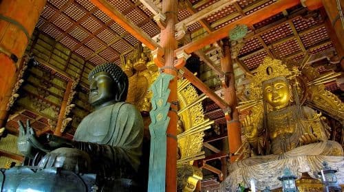 Private Tour Kyoto-Nara w/Hotel Pick Up & Drop off from Kyoto Day Tours