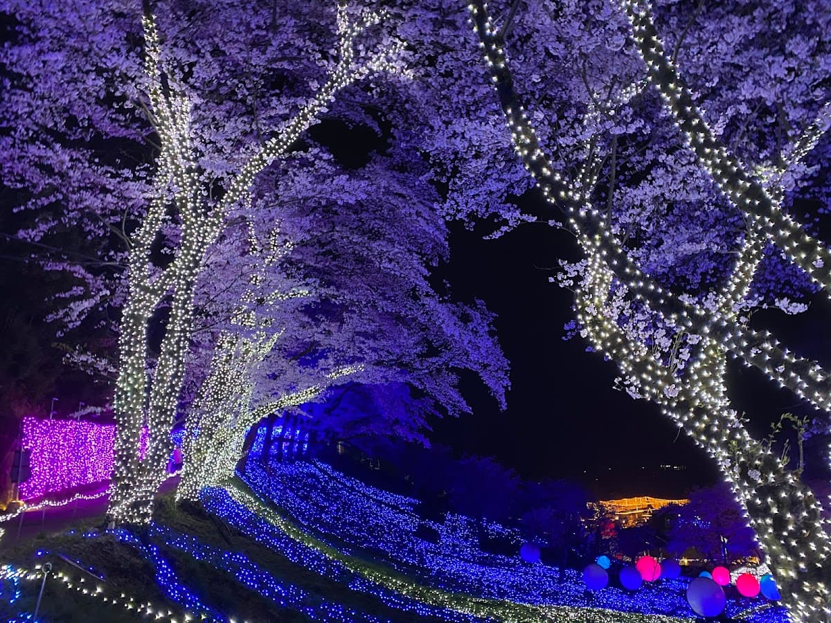 Sagamiko MORIMORI