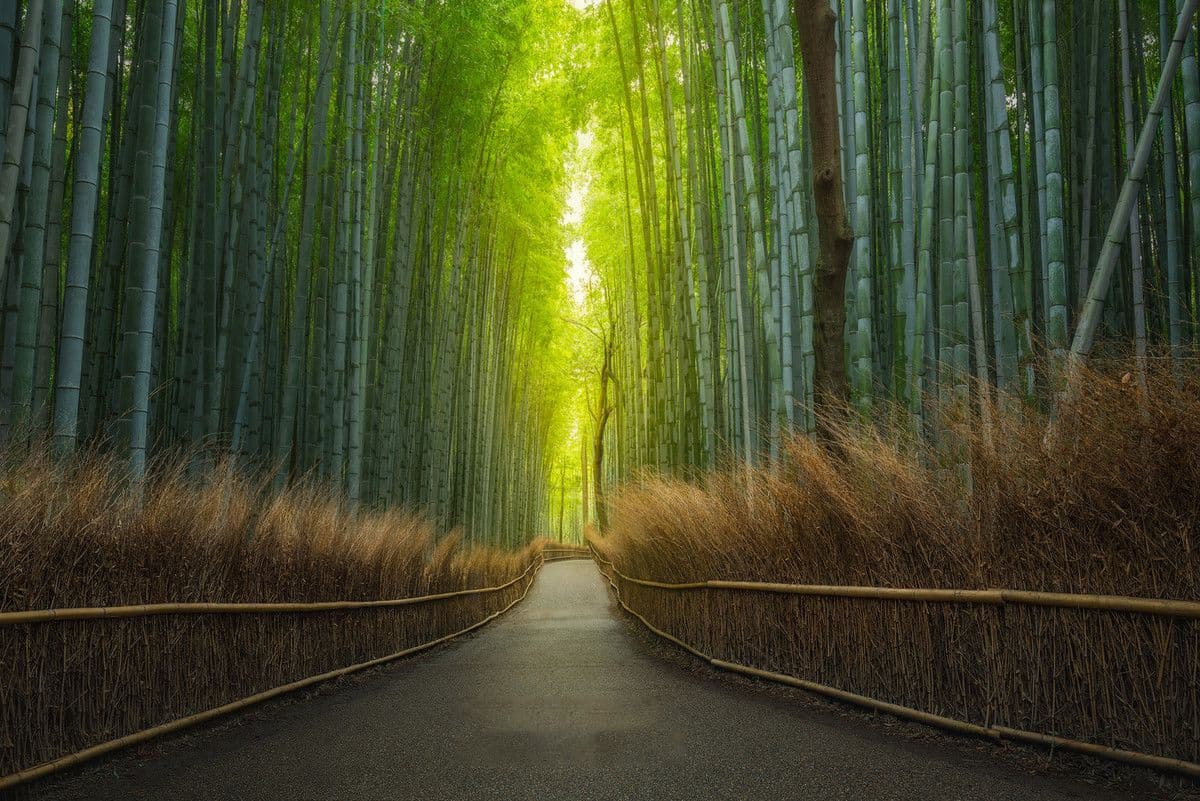 Sanzen-in Temple in Arashiyama, Kyoto