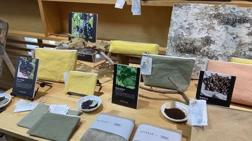 Sapporo City Walk & Traditional Dyeing Experience Day Tour Day Tours