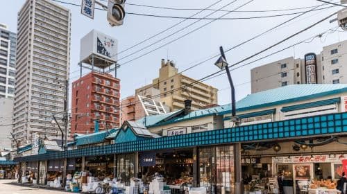 Sapporo Highlights & Hidden Gems - 현지인과 함께하는 맞춤형 투어