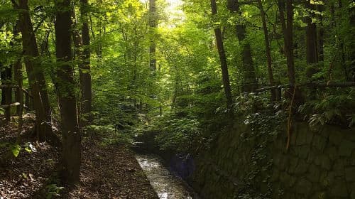 Sapporo: Wędrówka na Mt. Maruyama i skocznia narciarska Okurayama – wycieczki jednodniowe