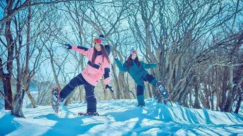 Jednodniowa wycieczka narciarska do Shiga Biwako Valley (z Osaki, podstawowa lekcja grupowa) Wycieczki jednodniowe