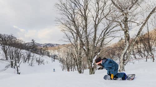Jednodniowa wycieczka narciarska do Shiga Biwako Valley (z Osaki, podstawowa lekcja grupowa) Wycieczki jednodniowe
