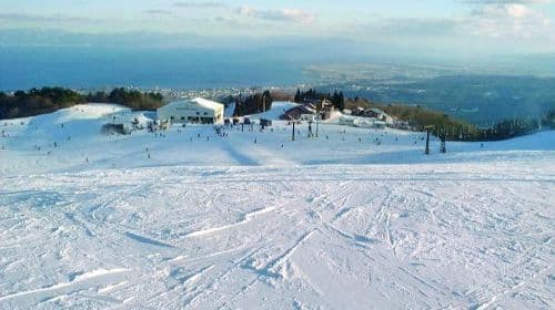 Activités sur neige à Shiga Hakodateyama + Avenue des séquoias du lac Biwa + excursion d'une journée à Makino Kogen Onsen