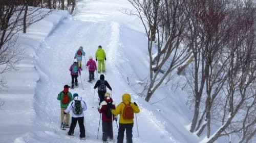 Shiga Hakodateyama Schnee-Aktivitäten + Lake Biwa Metasequoia-Allee + Makino Kogen Onsen Tagestour