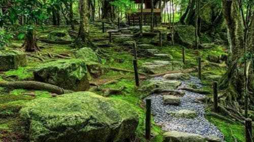 Excursión de un día al lago Biwa en la prefectura de Shiga