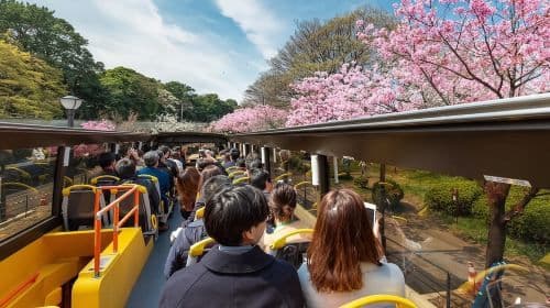 Tokyo : Visites guidées d'une journée en bus à impériale découverte avec audioguide