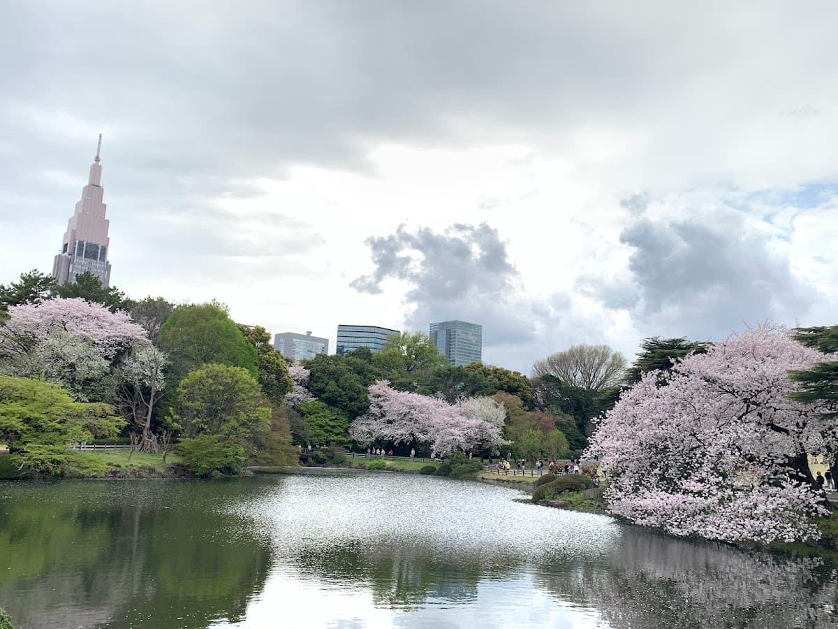 Shinjuku Gyoen National Garden (Must be sold at the original price)