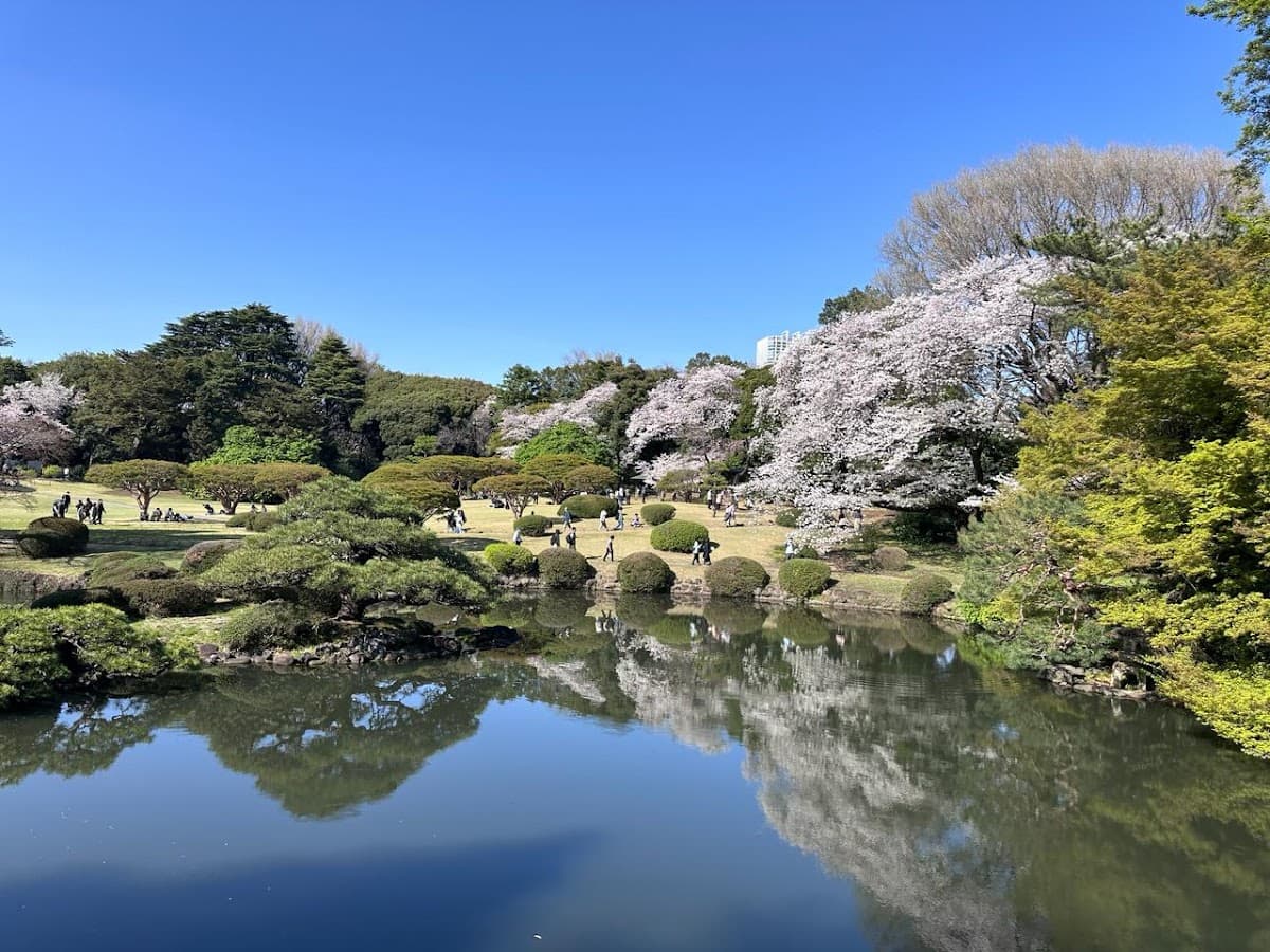 Shinjuku Gyoen National Garden (Must be sold at the original price)