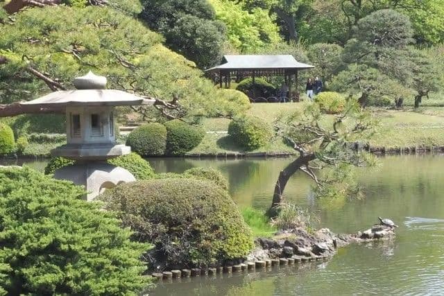 Shinjuku Gyoen National Garden (Must be sold at the original price)