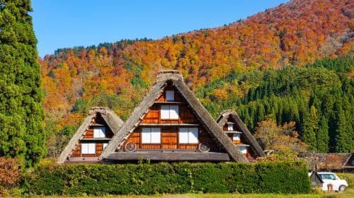 Shirakawa-go and Autumn Foliage White Road Drive 1 Day Tour from Kanazawa  Day Tours