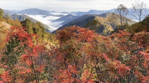 Shirakawa-go and Autumn Foliage White Road Drive 1 Day Tour from Kanazawa  Day Tours