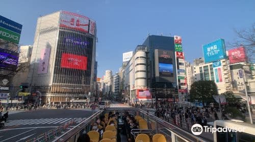 Sky Hop Bus Tokyo