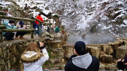 Snow Monkey, Hokusai & Sake: Idealna jednodniowa wycieczka po Nagano