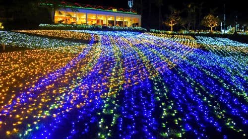 Southeast Botanical Gardens