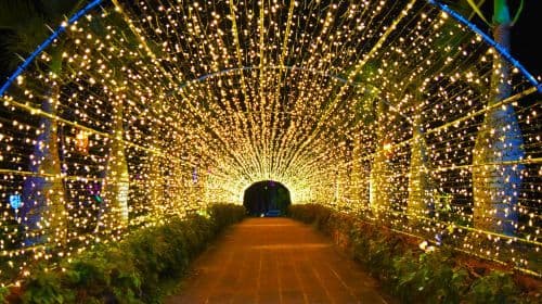 Southeast Botanical Gardens