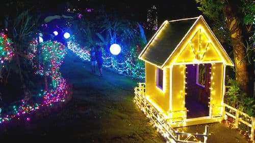 Southeast Botanical Gardens