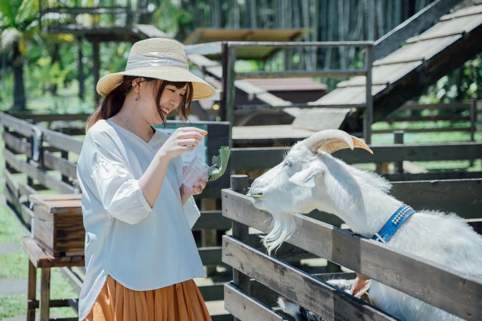 Southeast Botanical Gardens Admission Ticket | Okinawa, Japan