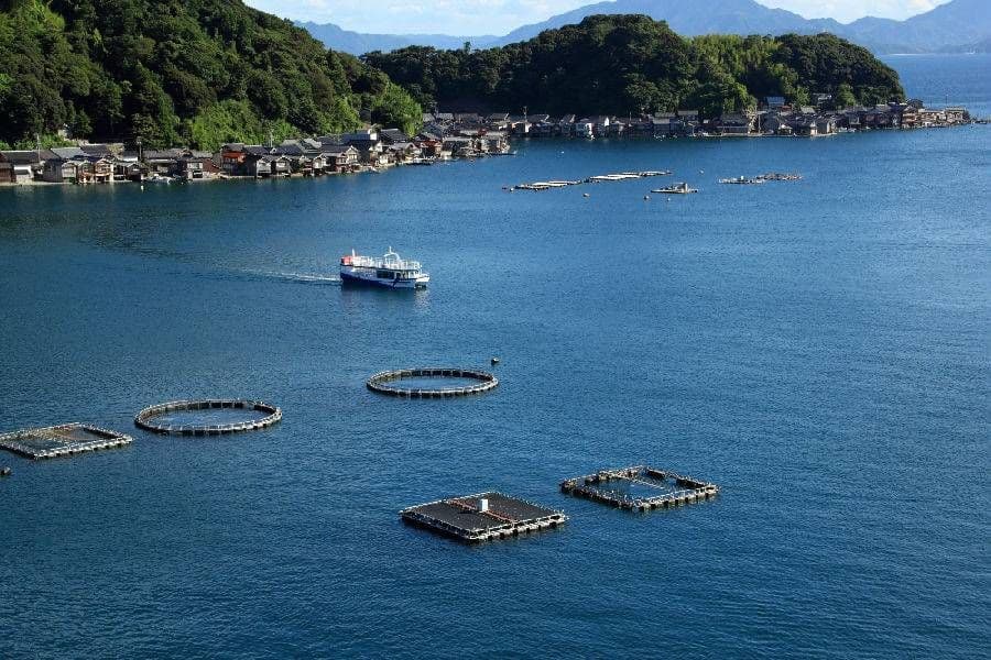 Pass di 2 giorni Tango Amanohashidate・Ine